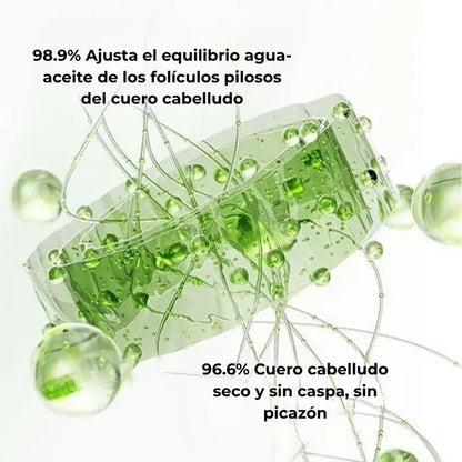 CHAMPÚ DE BATANA - FORMULA ESPECIAL PARA CRECIMIENTO Y NUTRICION DEL CABELLO